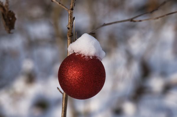 Weiße Weihnacht