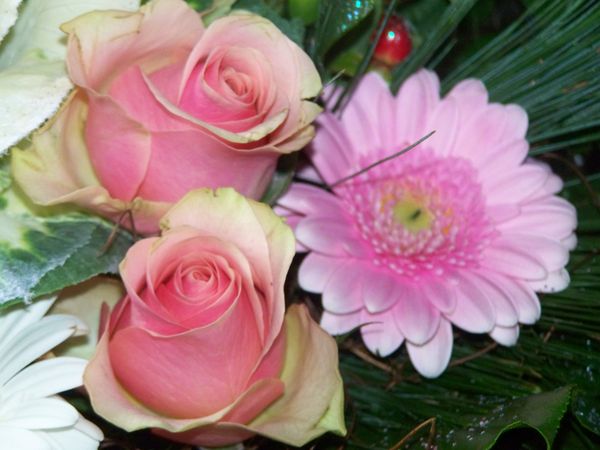  Blumen