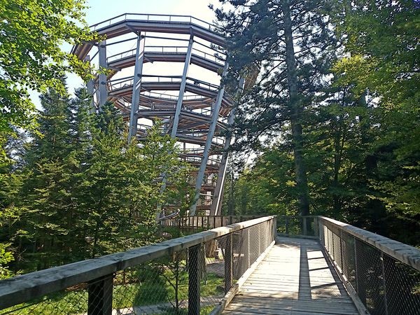  Baumwipfelpfad Bad Wildbad