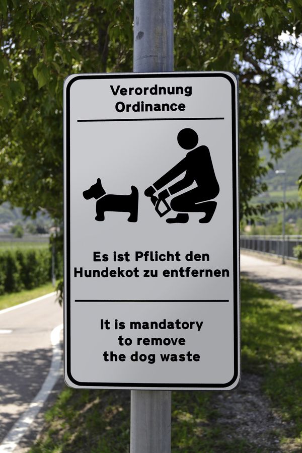  Hundekot entfernen