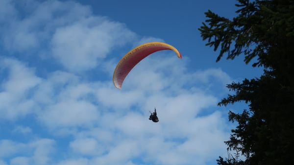  Paragleiter