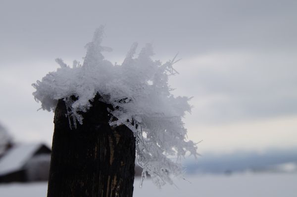  Eisfrisur
