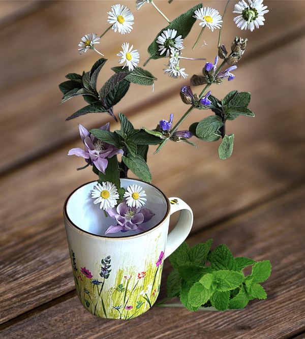  Porzellan Malerei Teetasse