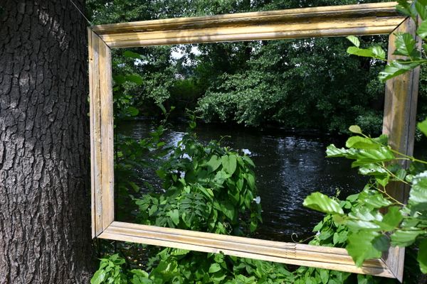  Die Natur im Rahmen