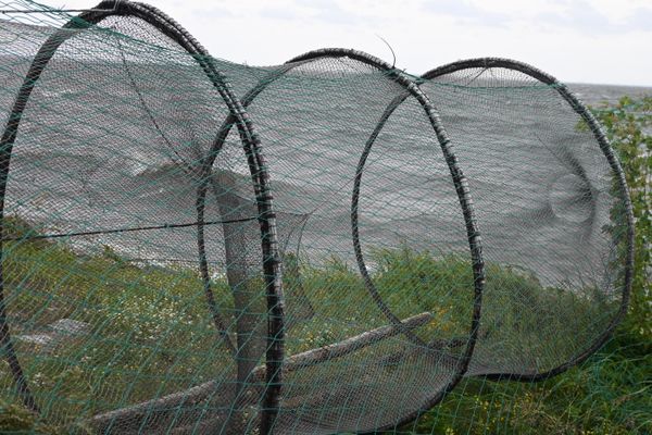  Fischernetz am Haff