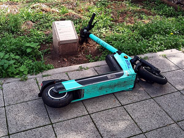  TIER gerechte Haltung