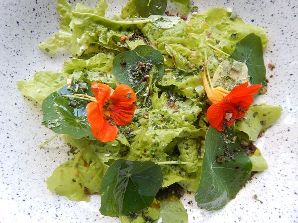  Salat mit Kapuzinerkresse