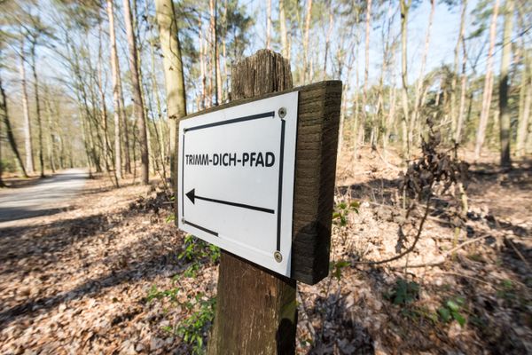  Gute Vorsätze