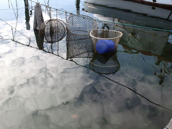  Fischerutensilien